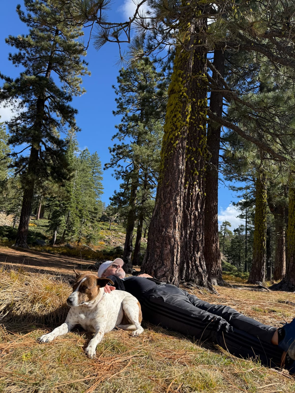 Trip photo