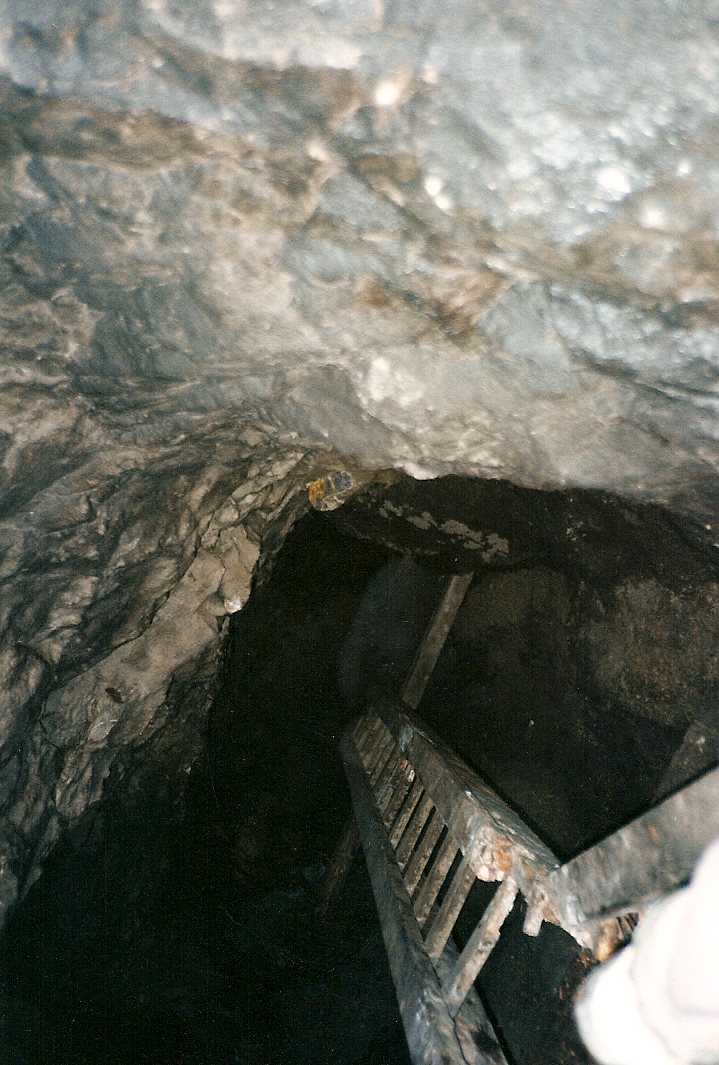Trip photo