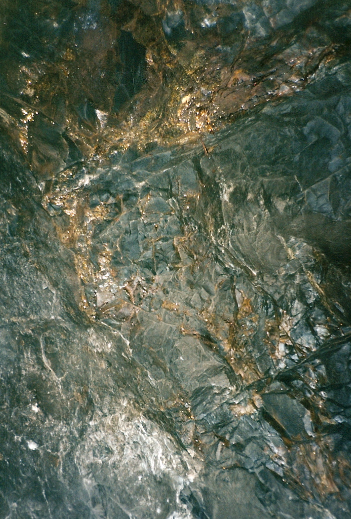 Trip photo