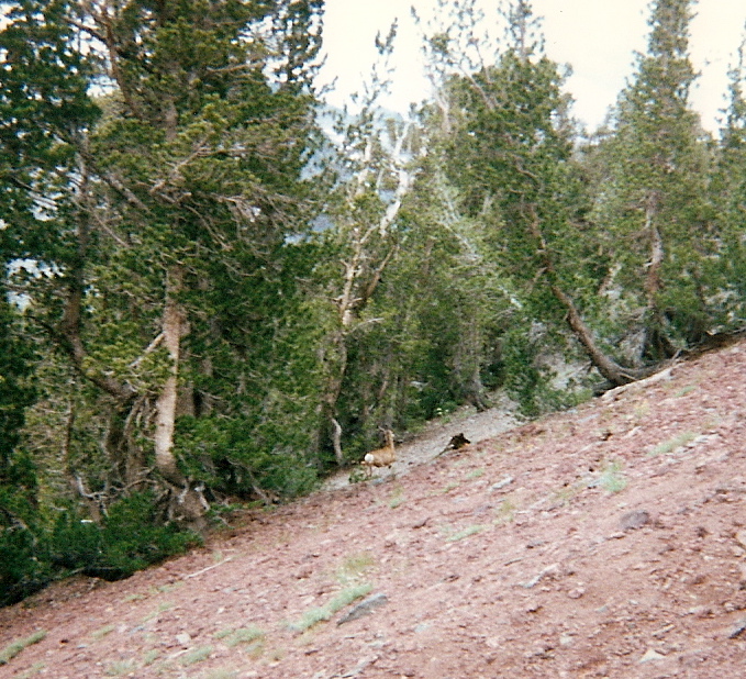 Trip photo