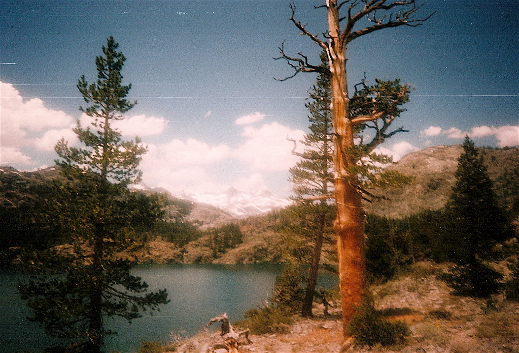 Trip photo