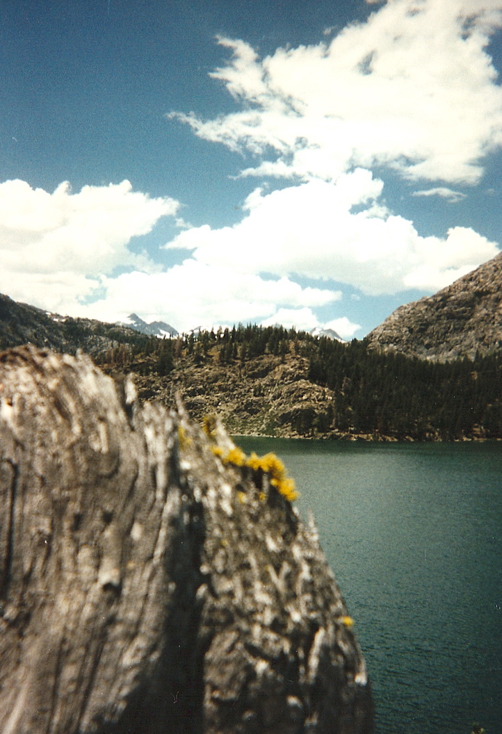 Trip photo