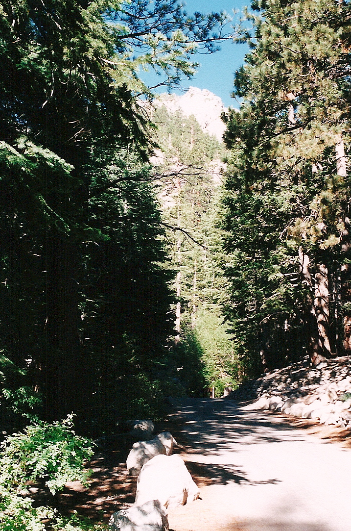 Trip photo