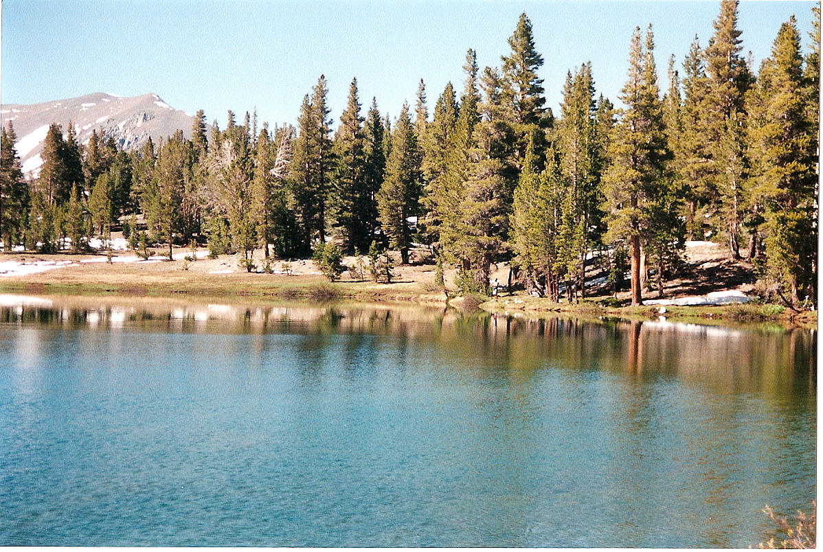 Trip photo