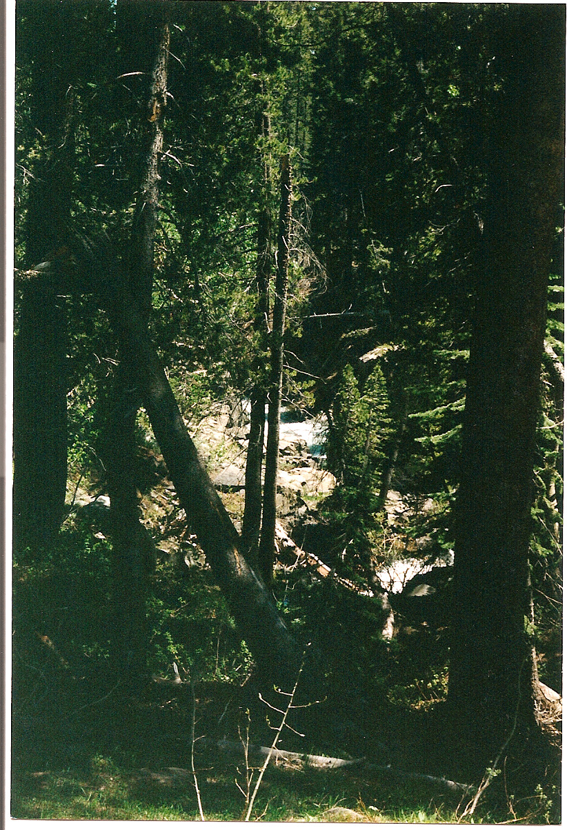 Trip photo