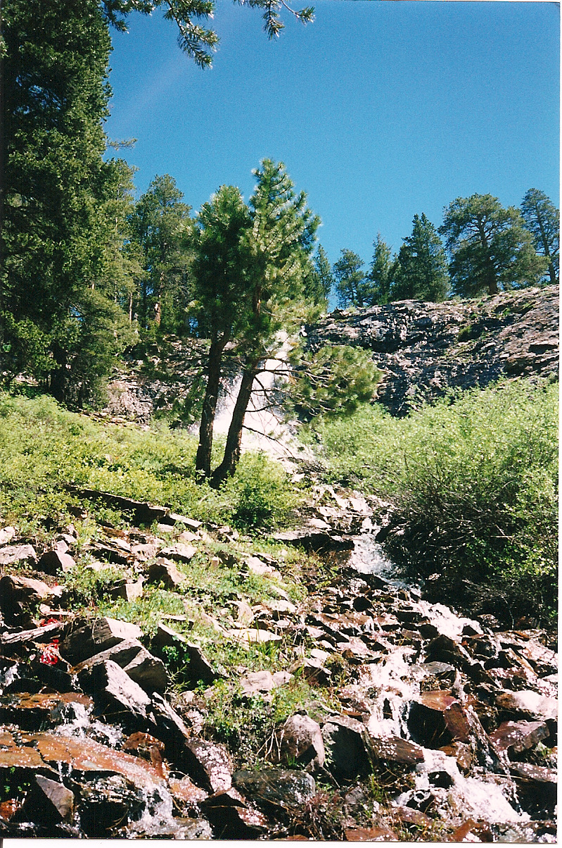 Trip photo