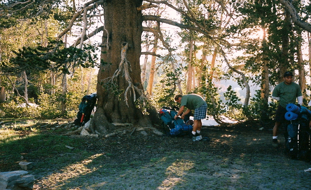 Trip photo