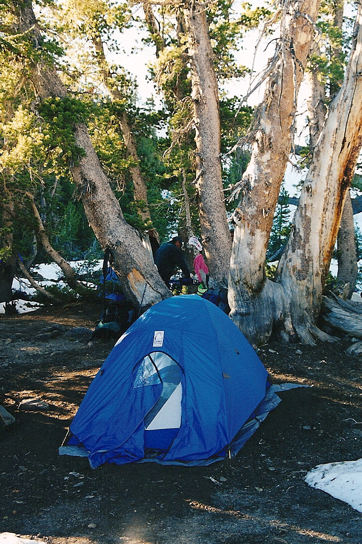 Trip photo