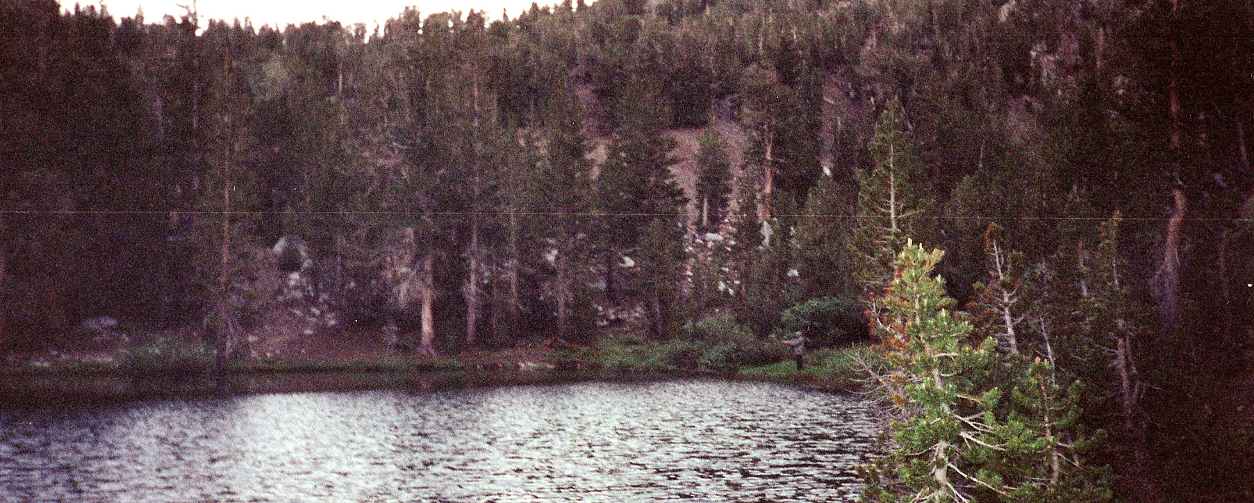 Photo Gallery