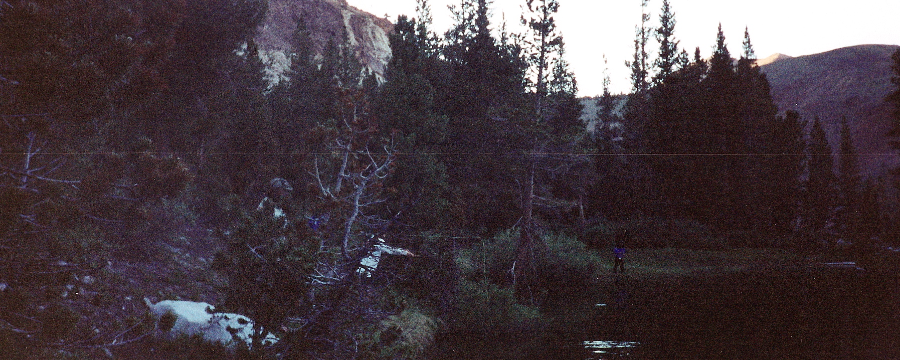 Photo Gallery